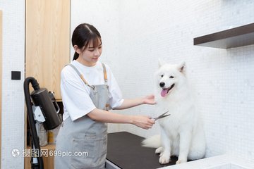 比特币钱包苹果版